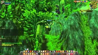 Quest 1663: Report to Silvia (WoW, human, paladin)