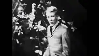 The Trashmen - Surfin' Bird - HD - 1963 -