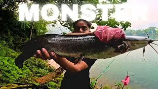 MONSTER Catfish Fishing at Fewa Lake Pokhara  (Part2)