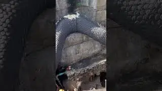 Patung Ular Naga Terbesar Berkepala Lima#shorts