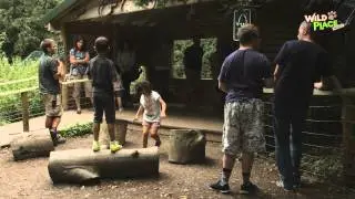 Welcome to the Wild Place Project