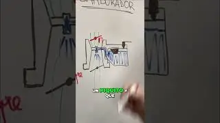 Bomba de Pique: El Secreto para Acelerar tu Auto #shorts