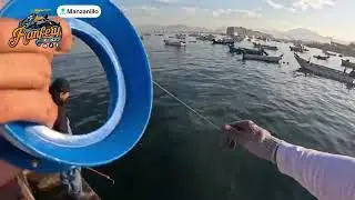 Pesca del &uacute;ltimo d&iacute;a de marzo del 2025, Manzanillo Col.,😊🙏🏻🎣🇲🇽🔥