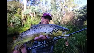 Big River Browns and Bows