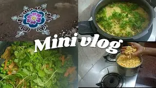 ✨💥minivlog#104💥✨daily routine lunch box preparation #samayalwithkani #cooking 