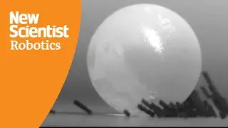 Swarms of tiny robots coordinate to achieve ant-like feats of strength