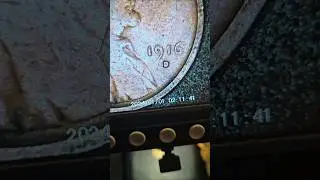 Live Coin hunting