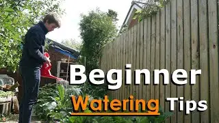 How To Water Your Garden | Watering 101