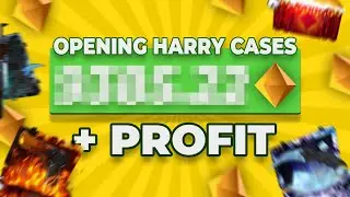 Что находится внутри кейсов HarryJZ?!