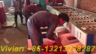 Round Fruit Apple Size Grading Sorting Machine in India Customer's Factory from Vivian