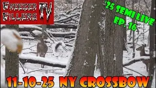 NY Crossbow Hunting 11-10-25! Fresh snow and deer are moving! '25 Semi Live Ep. 16