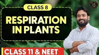 Class 11th biology chepter 14 Respiration in plants|part 8