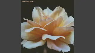 Without You