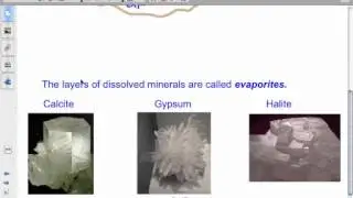 Chemical and Organic Sedimentary Rocks