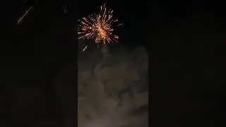 Nico Phantoms/Ghosts #fireworks #pyro #vuurwerk #feuerwerk #silvester #fajerwerki #f2 #nicoeurope