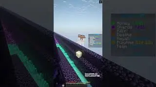 Chillin at the Team Home on DonutSMP #minecraft
