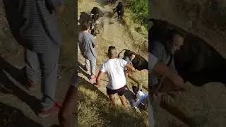 Falces 13 2017