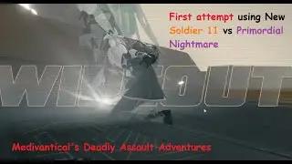 First Attempt using Soldier 11 vs Primordial Nightmare (Deadly Assault)(Barely 20k Points)