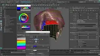 Xgen Hair 06 Region Map