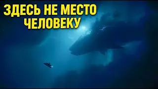 Секреты Марианской впадины: Что ПРЯЧЕТСЯ в самой глубокой точке океана?