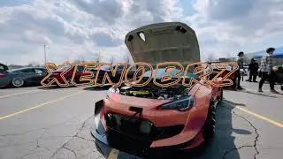 XENOBRZ edit -lmmedia