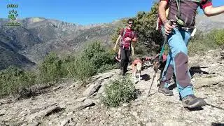 Hermanitos de Tejea