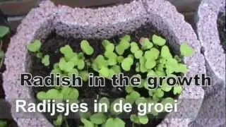 30 % more Harvest with this efficient & easy system