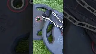 TRACTIONS LEST&Eacute;ES &Agrave; 40KG