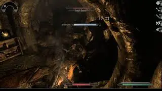 Housecarl Bodyguard - True Thane
