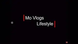 Net worth of mo vlog s