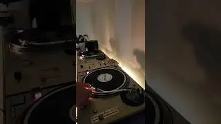 Jungle 94-95