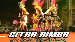 Srikandi Citra rimba indonesia live senden krincing secang magelng