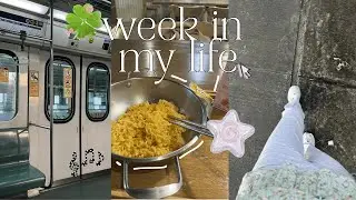 𐙚 ‧₊˚ ⋅week in my life: days at school, desk update, thrift store, etc...