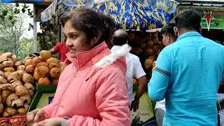 Discover the Real Good nariyal water shop in Munnar Kerala road - YouTube #Shorts