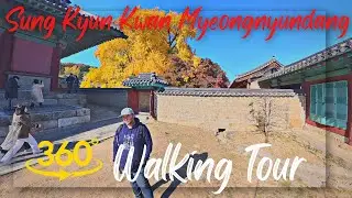 (A real hidden gem!) Seoul Fall Foliage in 360! Sung Kyun Kwan Myeongnyundang