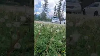 #Banff #alberta #canada #hiphop #automobile #hiphopculture #music #rap