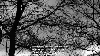 A Beautiful Scenery Silent Film