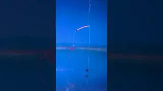 Best Bottom Fishing Rigs #shorts #fishing #tutorial