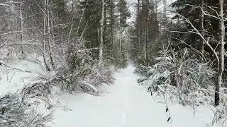 Walking in Bad Berleburg, Germany