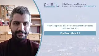 Nuovi approcci alla ricerca sistematica e stato dell’arte in Italia