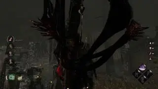 A determined spirit