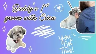 Meet Buddy 🐾 | First Grooming Session with Erica (POV)