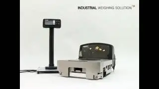 сканер весы CAS PDI-II cиндикатором PDS