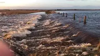 Treene Hochwasser 03.2019