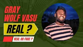 Gray Wolf Vasu REAL OR FAKE GHOST HUNTING#graywolf #horror #graywolfvasu #ghost