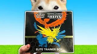 Opening Pokemon HIDDEN FATES! (rip $200)