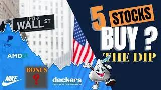 The 5 BEST STOCKS to buy on a dip Right Now!
