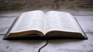 PM 11/23/2025 - Pastor Steve Bradley - 