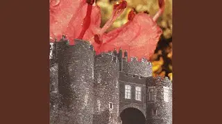Microcastle