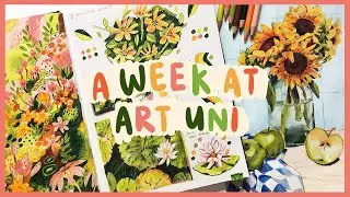 A Week at Art Uni, Studying Illustration | Painting Still life's and Figure Drawing :)